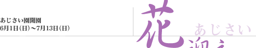 Ԍ}@