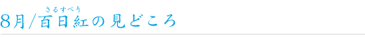 8Sǧǂ