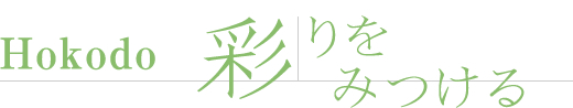  -Hokodo- ʂ݂