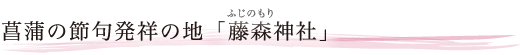 Ҋ̐ߋ唭˂̒nuX_Ёv
