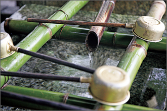 醒ヶ井、県井とともに、京の三名水に数えられる「染井の井戸」があります。その水は、甘くまろやかな味で茶の湯にも適しています。