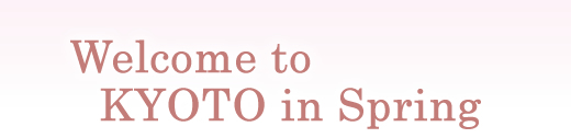 Welcome to KYOTO in Winter